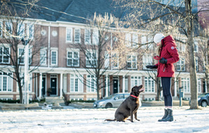 Canada Goose Winchester